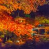 京都紅葉