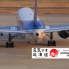 ANA北海道ふっこう割