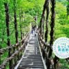 徳島ふっこう周遊割