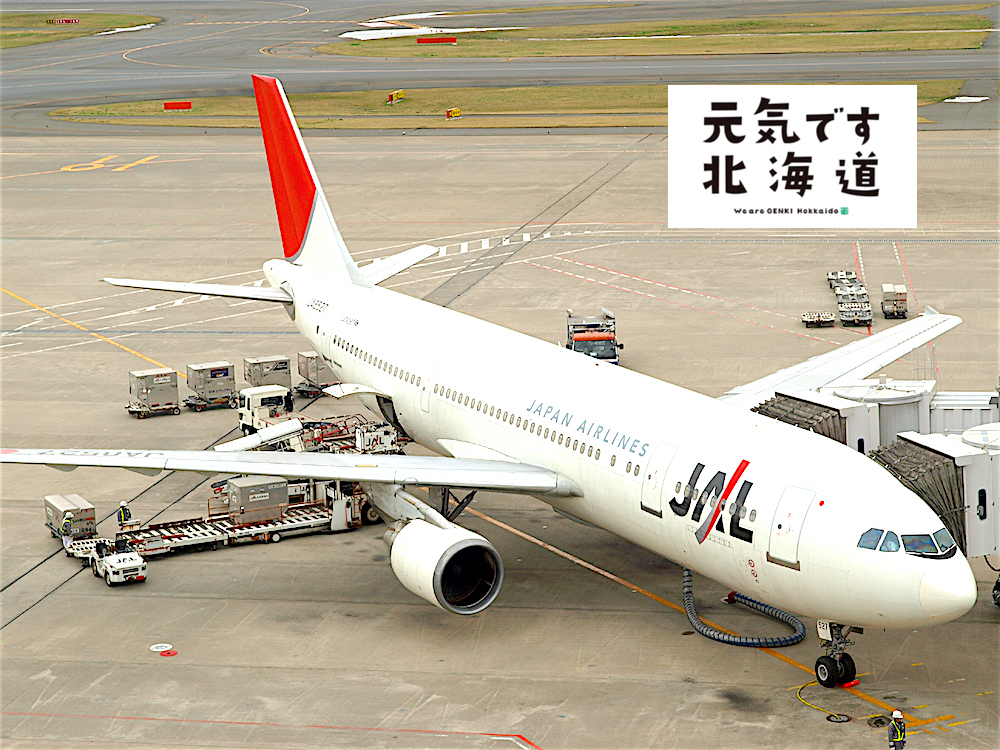 JAL北海道ふっこう割クーポン、応援割特集｜運賃値下げ、旅行割引で復興支援