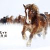 JTB北海道ふっこう割