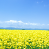 北海道ふっこう割4月５月延長