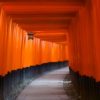 京都旅行クーポン