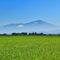 山形新潟応援割