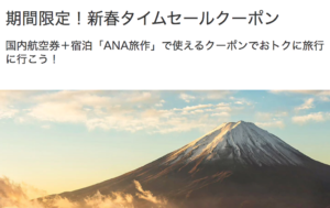 ANAトラベラーズクーポン