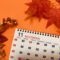 11月