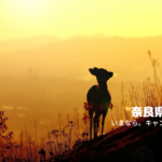 奈良県の全国旅行支援「いまなら。キャンペーン」