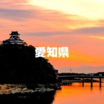 愛知県の全国旅行支援