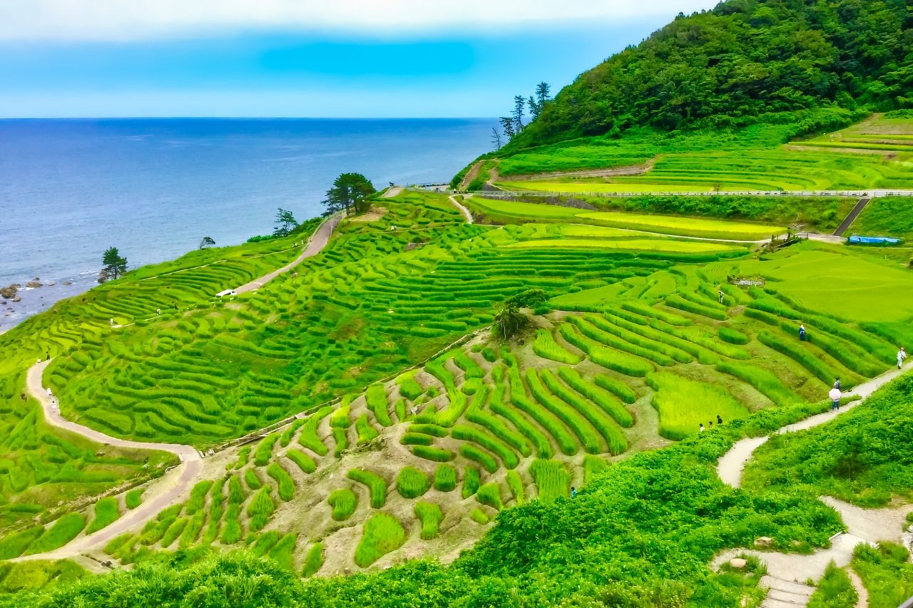 石川県全国旅行支援