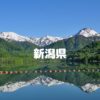新潟県の全国旅行支援