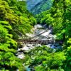 徳島県の全国旅行支援「みんなで！徳島旅行割」