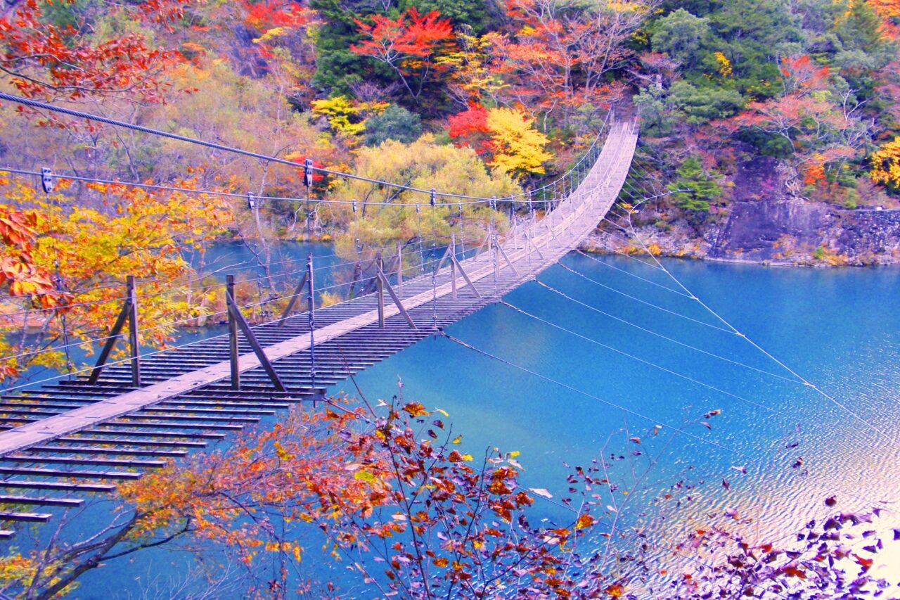 静岡県の観光キャンペーン