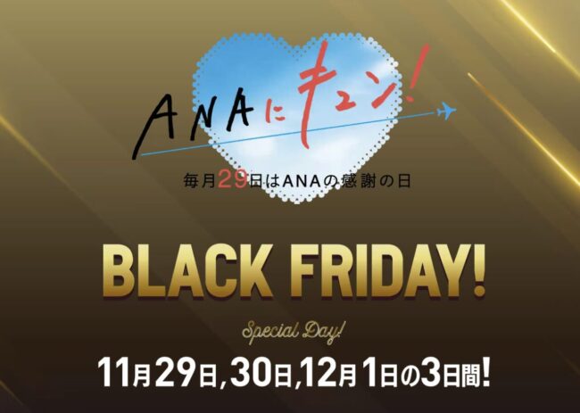 ANAのブラックフライデー2024