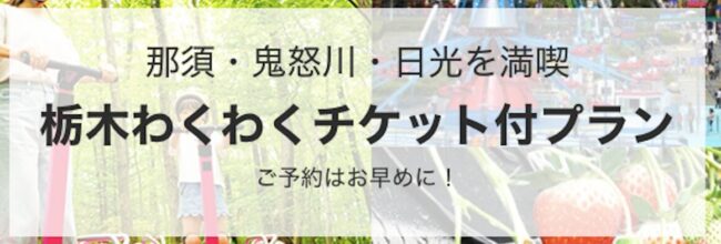 栃木わくわくチケット付プラン