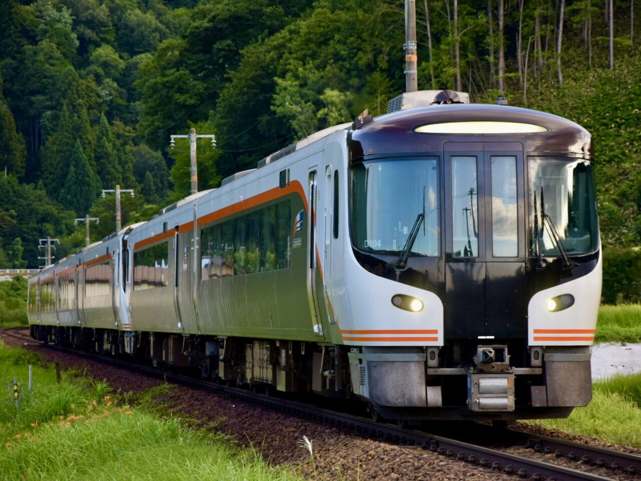 JR東海＆16私鉄 乗り鉄☆たびきっぷとは